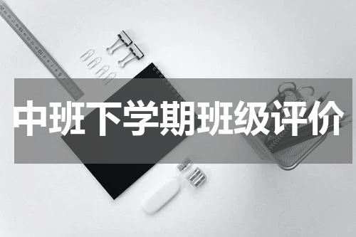 中班下学期班级评价