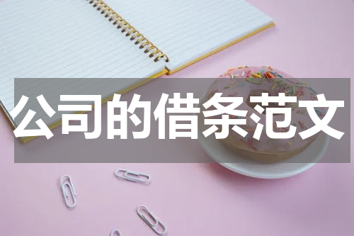 公司的借条范文