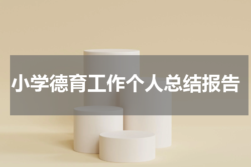 小学德育工作个人总结报告