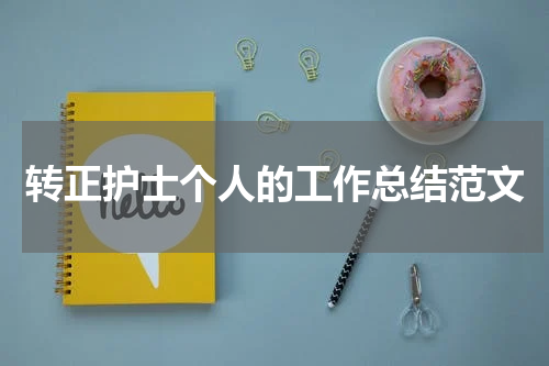 转正护士个人的工作总结范文
