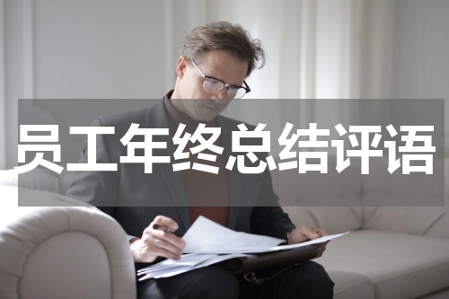员工年终总结评语