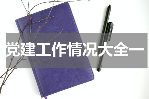 党建工作情况大全一