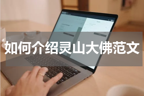 如何介绍灵山大佛范文
