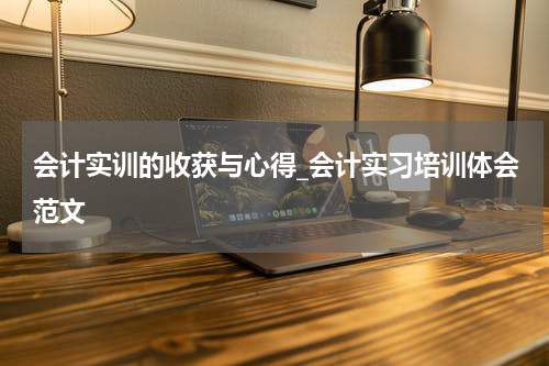 会计实训的收获与心得_会计实习培训体会范文