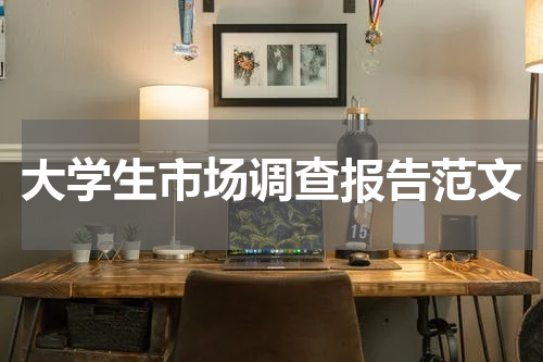 大学生市场调查报告范文
