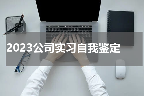 2023公司实习自我鉴定