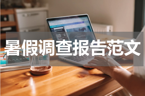 暑假调查报告范文