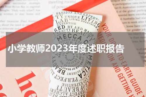 小学教师2023年度述职报告