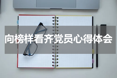 向榜样看齐党员心得体会