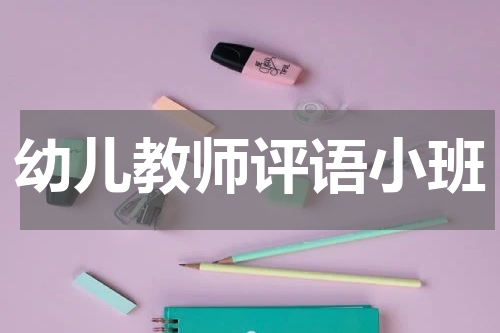 幼儿教师评语小班