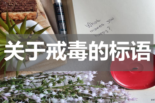 关于戒毒的标语