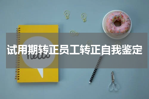 试用期转正员工转正自我鉴定