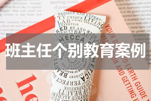 班主任个别教育案例