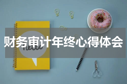财务审计年终心得体会