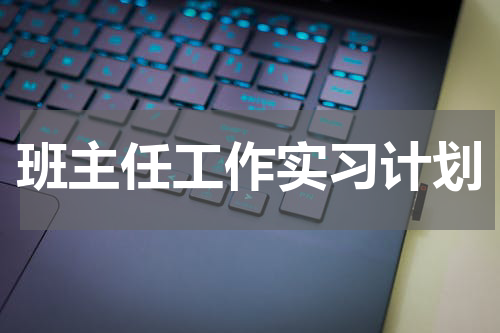 班主任工作实习计划