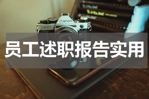员工述职报告实用