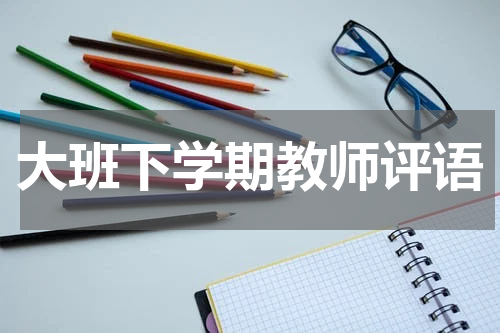 大班下学期教师评语