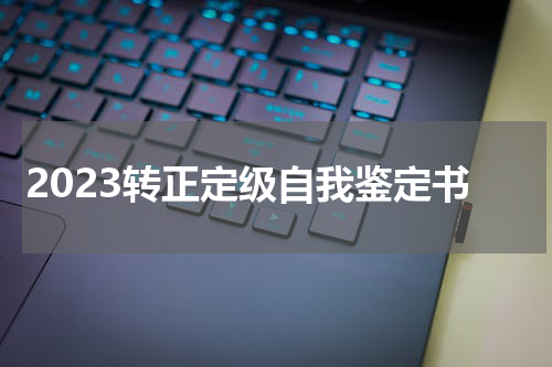 2023转正定级自我鉴定书