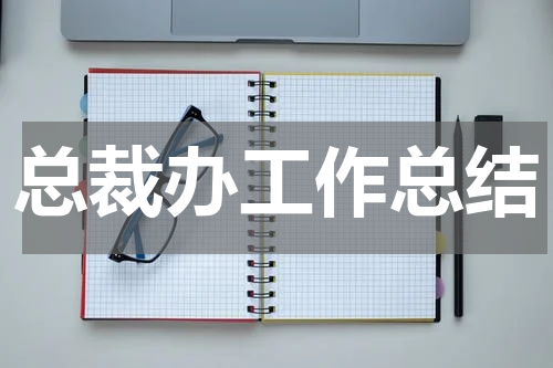 总裁办工作总结