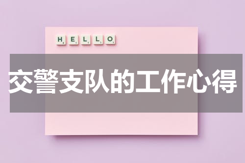 交警支队的工作心得