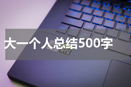 大一个人总结500字