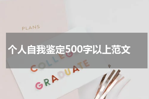 个人自我鉴定500字以上范文
