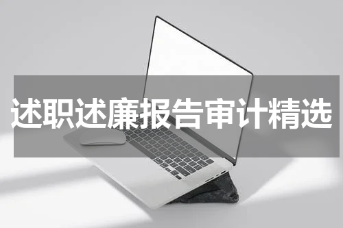 述职述廉报告审计精选