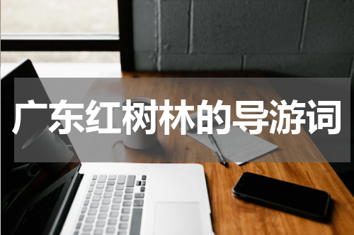 广东红树林的导游词