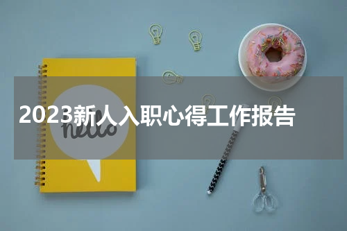 2023新人入职心得工作报告