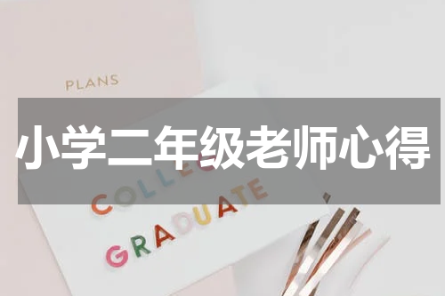 小学二年级老师心得