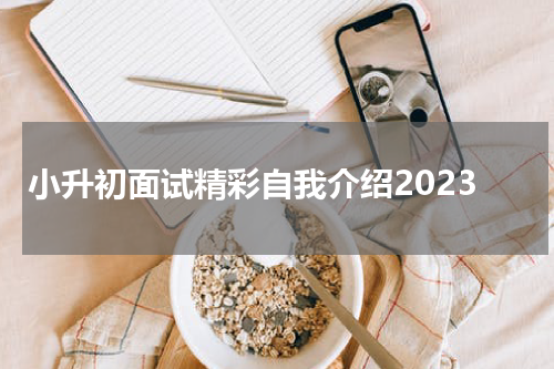 小升初面试精彩自我介绍2023