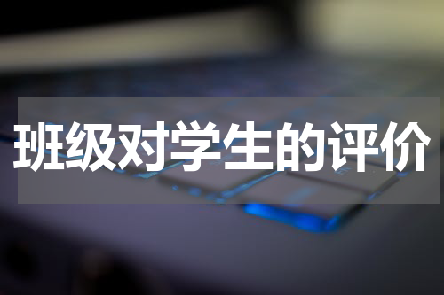 班级对学生的评价