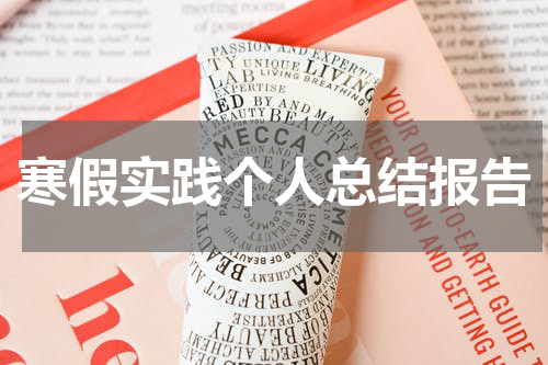 寒假实践个人总结报告