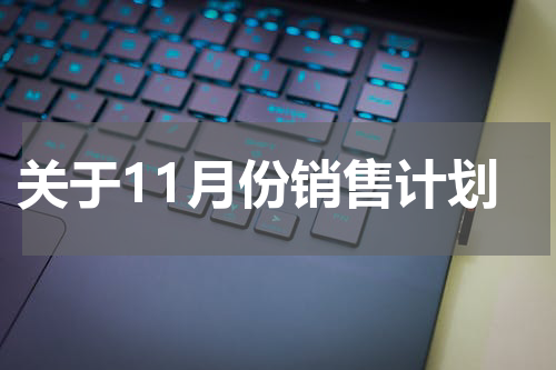 关于11月份销售计划
