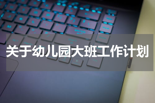 关于幼儿园大班工作计划