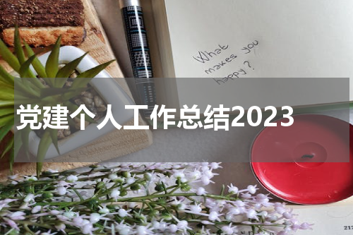 党建个人工作总结2023