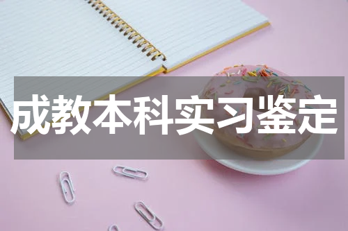 成教本科实习鉴定