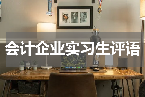 会计企业实习生评语