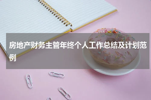 房地产财务主管年终个人工作总结及计划范例
