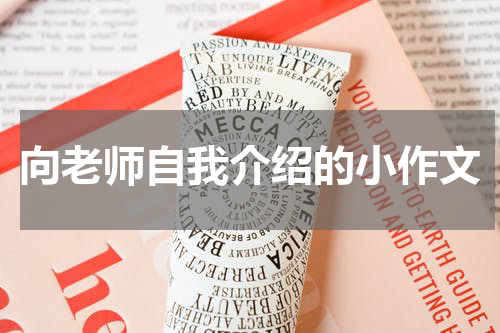 向老师自我介绍的小作文