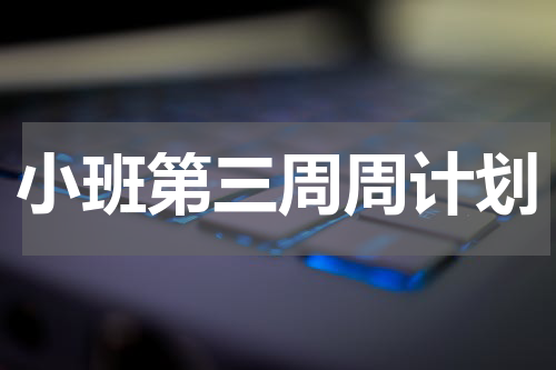 小班第三周周计划