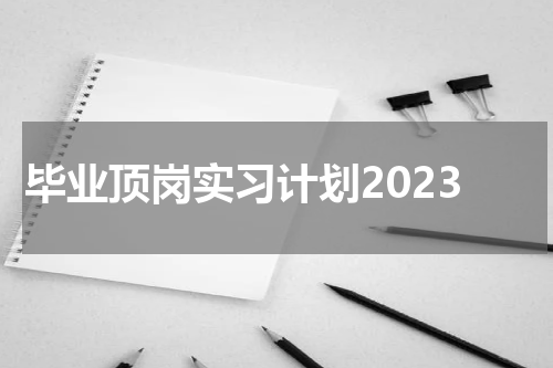 毕业顶岗实习计划2023