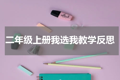 二年级上册我选我教学反思