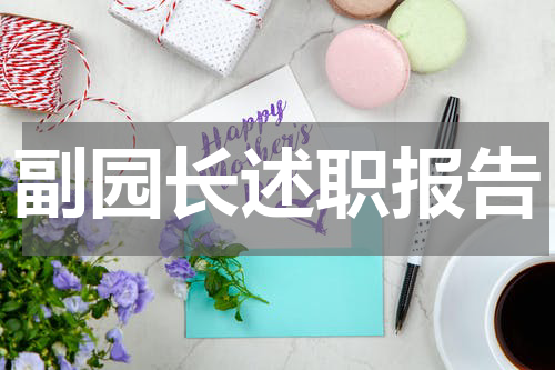 副园长述职报告