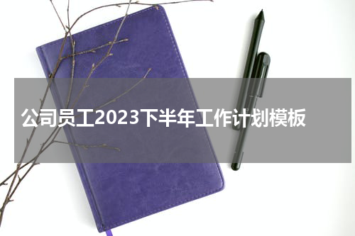 公司员工2023下半年工作计划模板