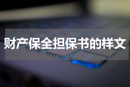 财产保全担保书的样文