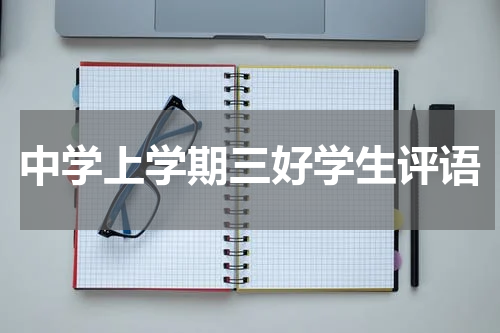 中学上学期三好学生评语