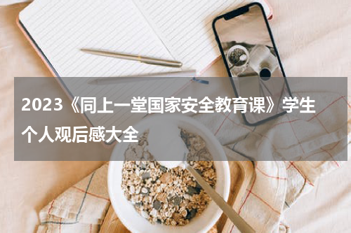 2023《同上一堂国家安全教育课》学生个人观后感大全