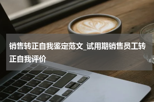 销售转正自我鉴定范文_试用期销售员工转正自我评价