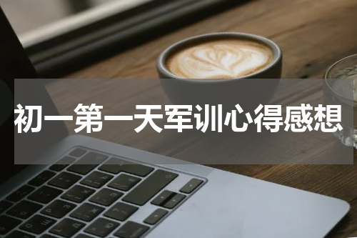 初一第一天军训心得感想